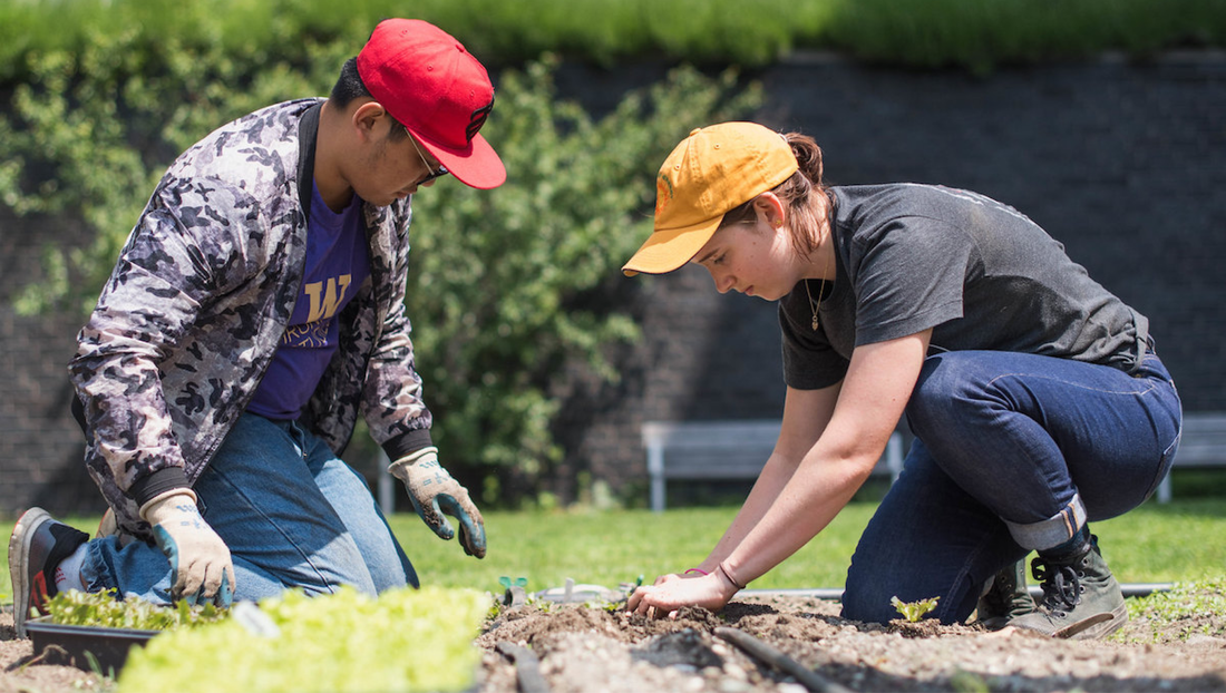 University of Washington honors students eliminate 10 tons of carbon emissions in new pilot program