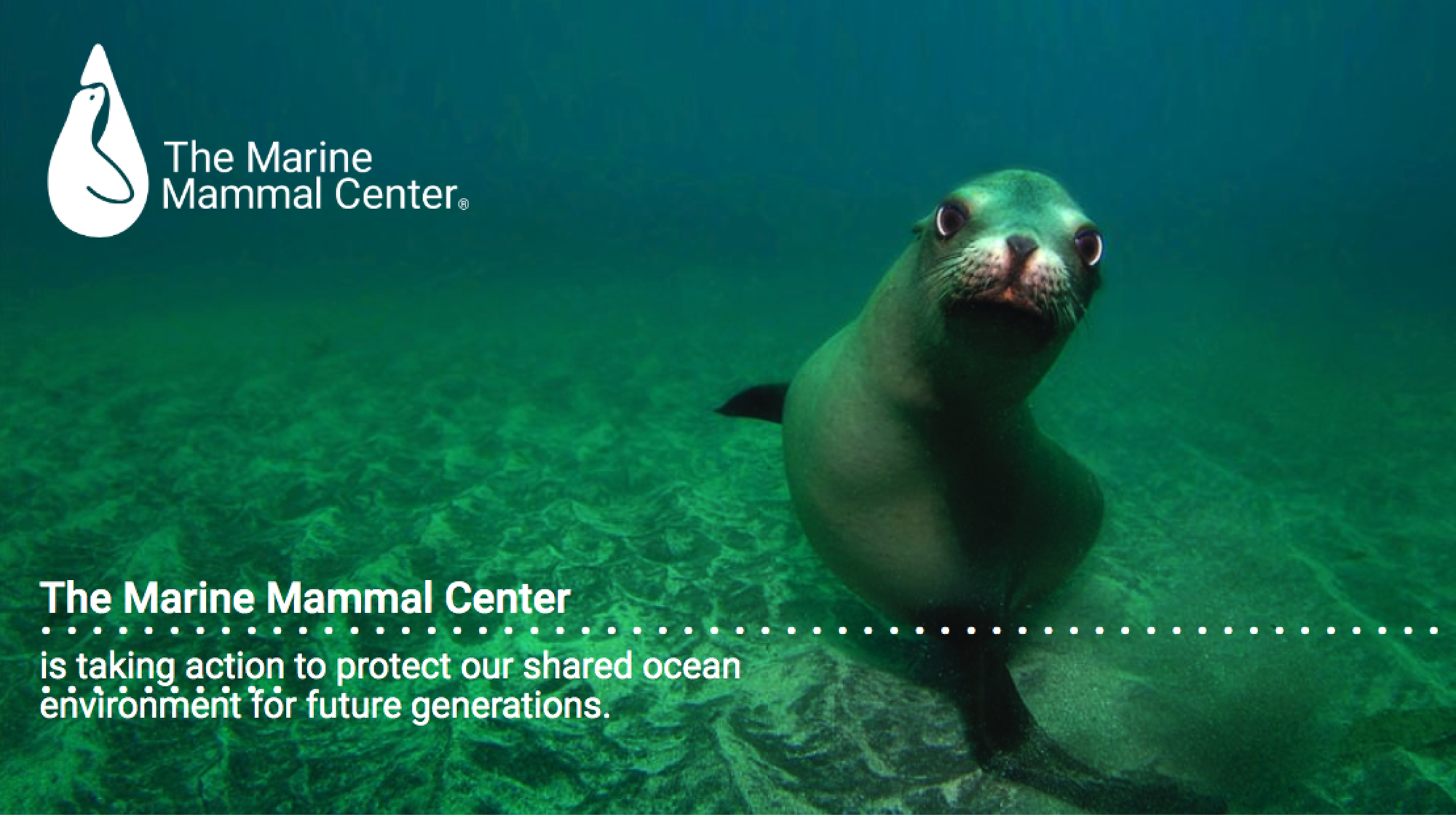 The Marine Mammal Center partnership hero image.